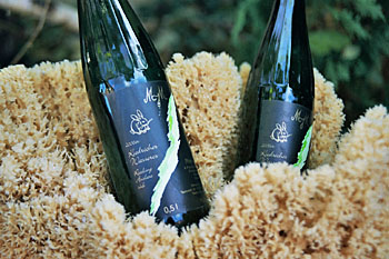 Weingut M.J.M�ller