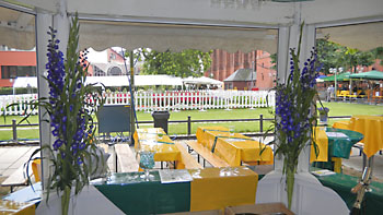 Weinfest in Wiesbaden 2010