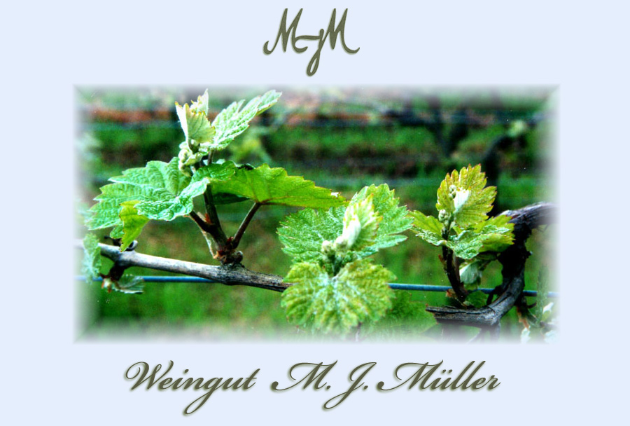 Herzlich Willkommen beim Weingut M.J. Mller in Eltville...