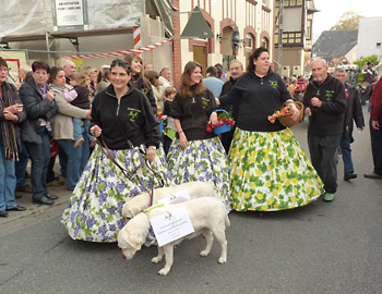 Weinlesefest in Eltville 2011