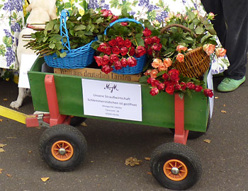 Weinlesefest in Eltville 2011