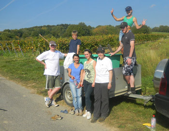 Weinlese 2011 Weingut M.J. Mller