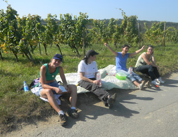 Weinlese 2011 Weingut M.J. Mller