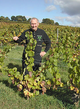 Weinlese 2009